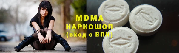 индика Богородицк